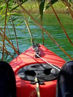 Silent Photographing